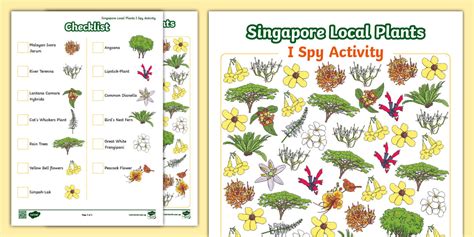 Singapore Local Plants I Spy Activity