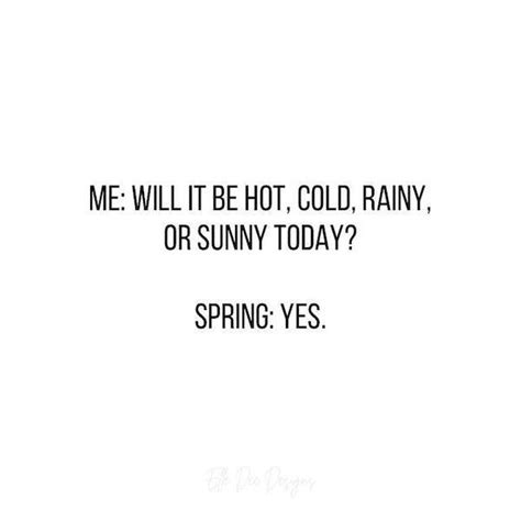 Spring Java Meme 的图像结果