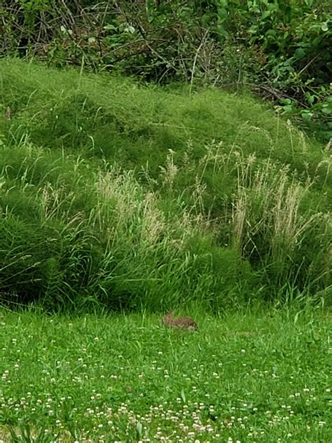 Whitaker Ponds Nature Park (Portland): All You Need to Know