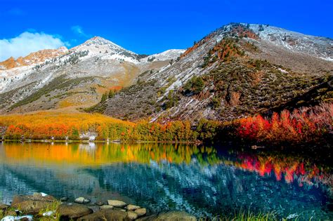 Here's What To Know About Visiting El Tule, Mexico's 2,000-Year-Old ...