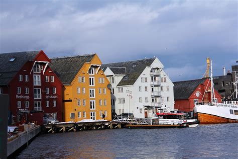 挪威留学-企业官网