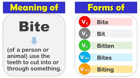 Past Tense For Bite: Bited Or Bit? (Pronunciation Usage), 54% OFF