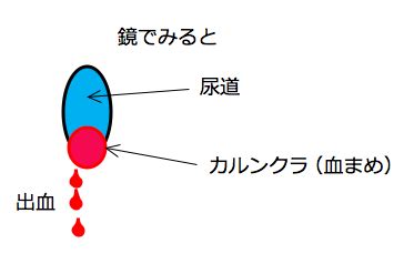 Image result for Virtual Science Lab