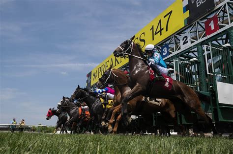 Preakness Stakes 2022: Results and Payouts - Early Voting Wins, Paying ...