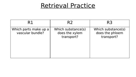 Image result for Apoplastic Pathway Model Kit