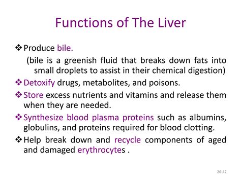 Digestive system | PDF
