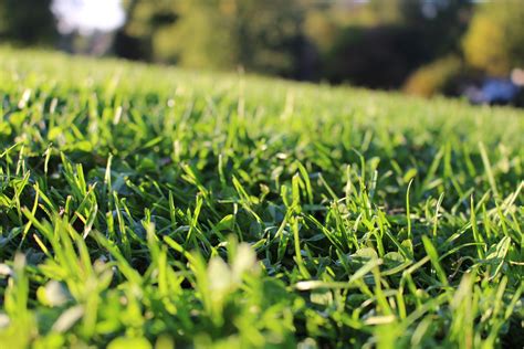 Mill Road Acres Golf Course