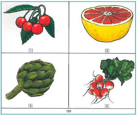 Peabody Picture Vocabulary Test