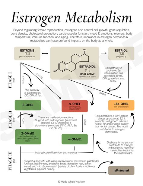 Pin by Sharon Lewis on Food | Health research, Hormone health, Improve skin health