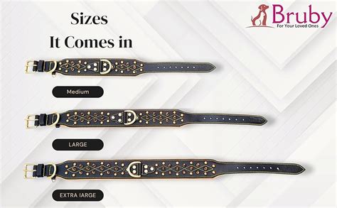 Buy Bruby Premium Leather Dog Collar with Soft Padding, Brass Studs ...