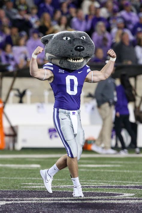 University of Illinois Fighting Illini Mascot Kingfisher Northwestern ...