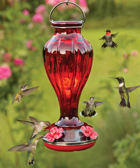 15 of the Best Hummingbird Feeders: What to Look for When Buying