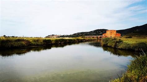 Maremma Impestata!. Escursione guidata nella Riserva naturale Diaccia ...