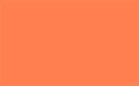 2019年年度流行色为珊瑚橘色|摄影|产品摄影|摄影师Ethan - 原创作品 - 站酷 (ZCOOL)