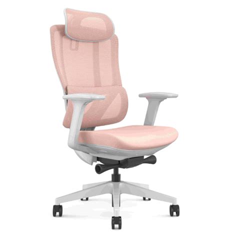 Muma Affinity 的图像结果