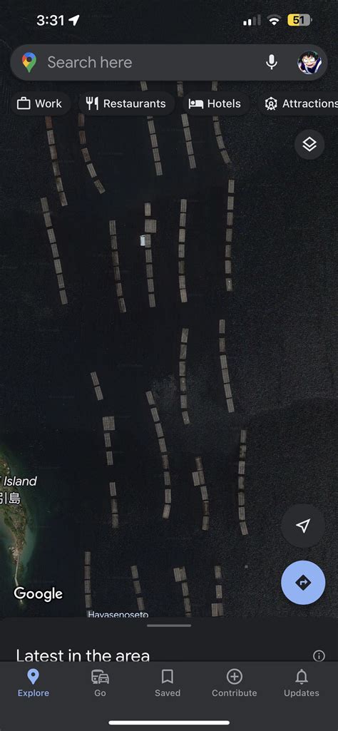 What’s these things in the ocean in Japan near Hiroshima? : r ...