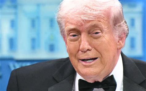 White House dismisses viral Trump 'diaper photo' speculation
