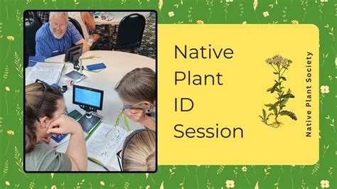 FREE Native Plant ID Sessions with Washington Native Plant Society ...