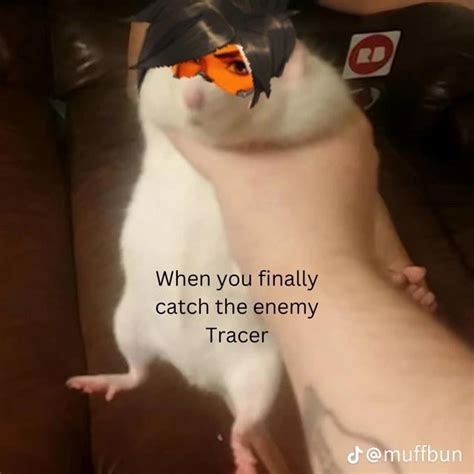 Image result for License Boot Module C2900 Technology Package