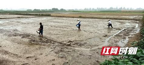 在人间｜洪水中的山西农民：养殖场被淹，180万打了水漂_凤凰网资讯_凤凰网