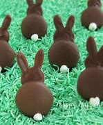 Image result for Easter Bunnies On Pinterest