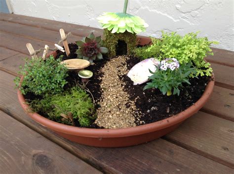 Miniature Garden Plants