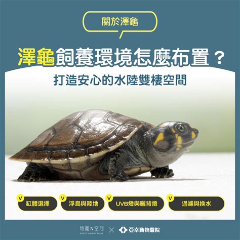 Image result for Name Match Algorithm