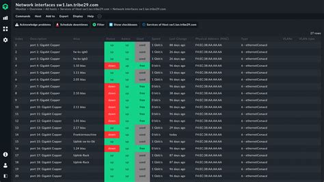 Network Connection Monitoring Tool 的图像结果