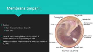 Image result for HTML and CSS Coding