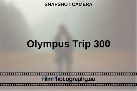 Image result for Trip 300 Computer