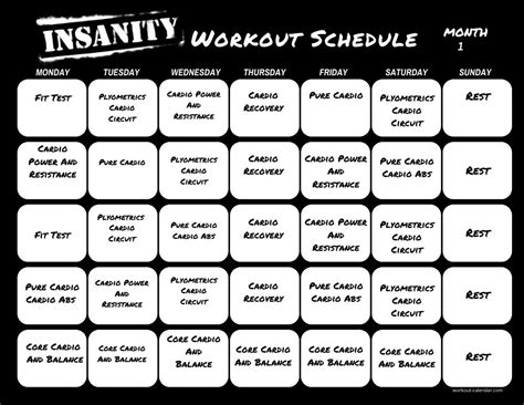 Insanity Workout Program 的图像结果