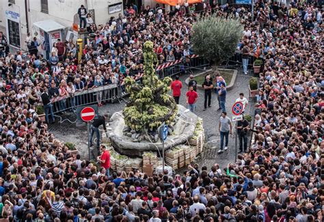 Sagra dell'Uva di Marino