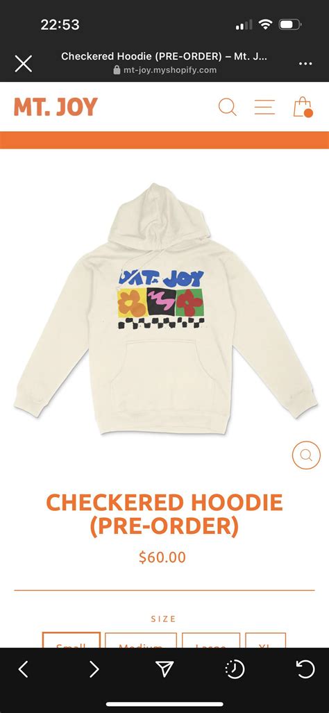 Mt Joy Checked Hoodie Merch : r/MtJoy