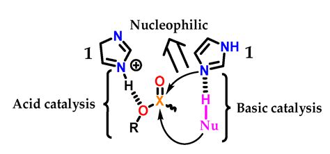 Imidazole: Synthesis, Functionalization and Physicochemical Properties ...
