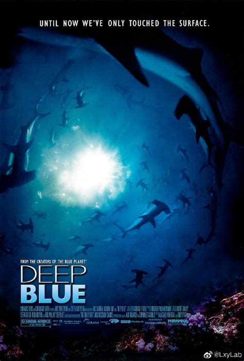 2003年BBC纪录片《深蓝 Deep Blue》 高码蓝光1080 中英字幕百度云迅雷下载 – 叽哩叽哩游戏网ACG（G站）