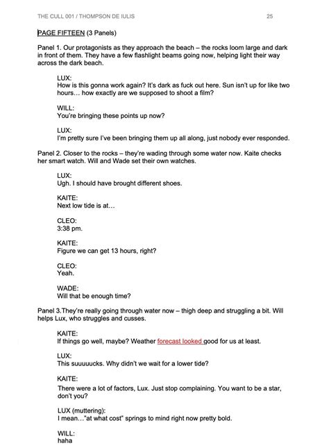 Image result for Script Process