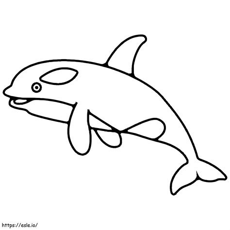 Cute Orca coloring page