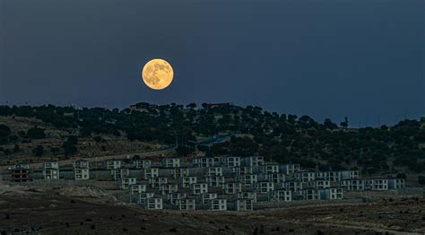 Isla Moon Onlyfans Free