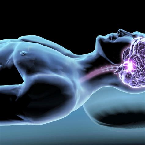 Kuvatulokset haulle brain cleanse