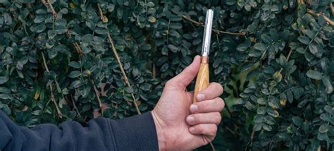 Image result for Using a Chisel Sharpening Guide