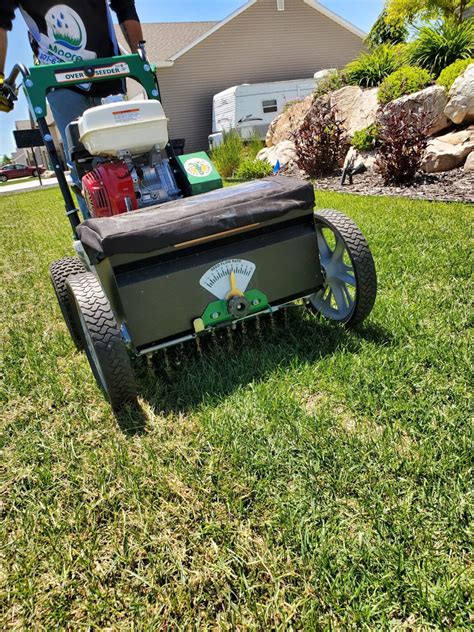 Fix Your Lawn with Overseeding / Moore Green Now offering Overseeding ...
