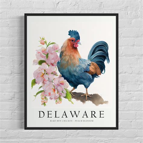 Delaware State Bird Art Print, Delaware State Flower, Delaware Wall Art ...