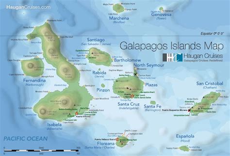 Islands Pastebin Script AutoFarm 的图像结果