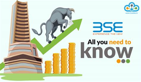 What Is the Bombay Stock Exchange (BSE)?