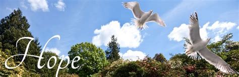 JOHN VINCENT SCALIA HOME FOR FUNERALS - Updated July 2025 - 34 Photos ...