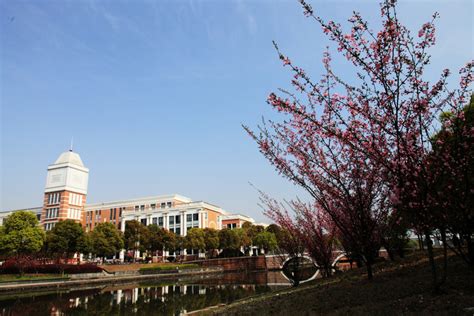 温州医科大学国家级创新创业教育实践基地授牌中国基因药谷-创新创业教育学院
