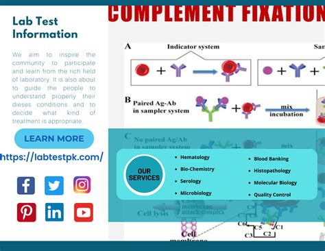 C3 Complement Test