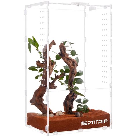 Buy Jumping Spider Enclosure, Tarantula Enclosure 6x8x14, Spider Terrarium, Acrylic Terrarium ...