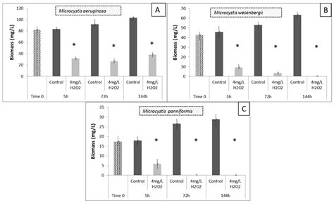 Differential Effect of Hydroxen Peroxide οn Toxic Cyanobacteria of ...