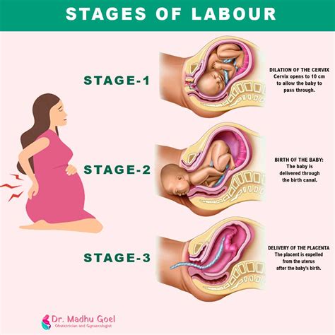 The 3 Stages of Labour: Your Body's Incredible Journey to Motherhood ...